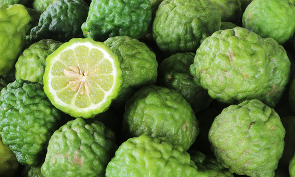 Bergamot