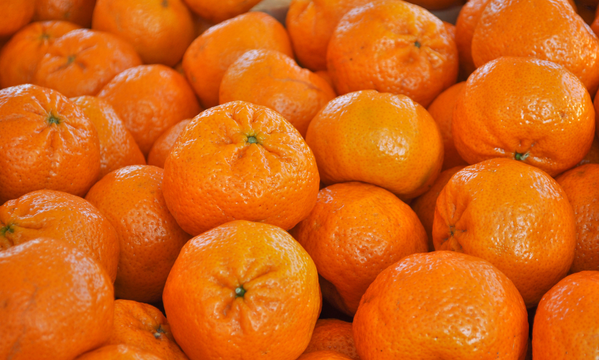 Mandarina