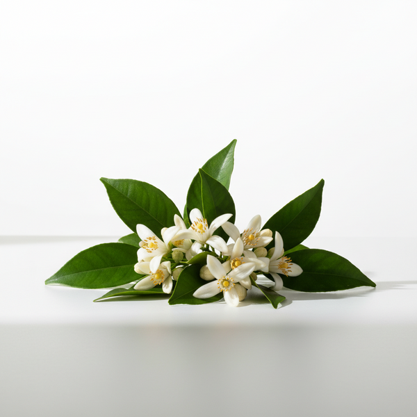 Neroli